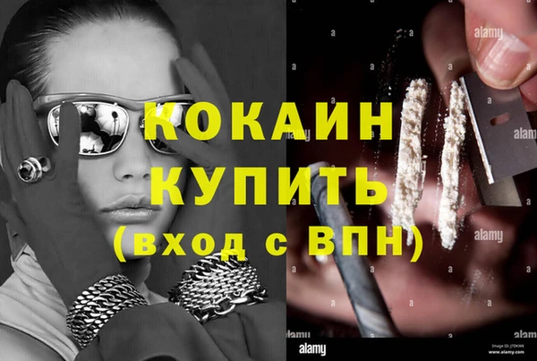 амф Магас
