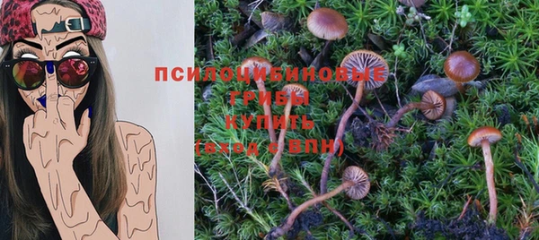 амф Магас