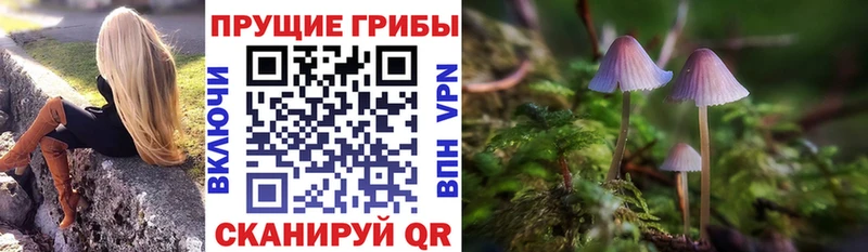 Галлюциногенные грибы Psilocybine cubensis  купить закладку  блэк спрут онион  Южа 