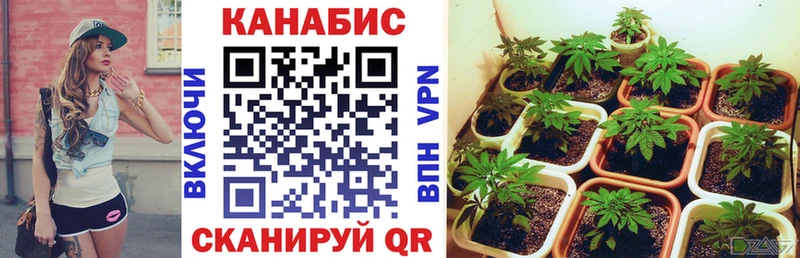 наркошоп  Южа  Канабис MAZAR 